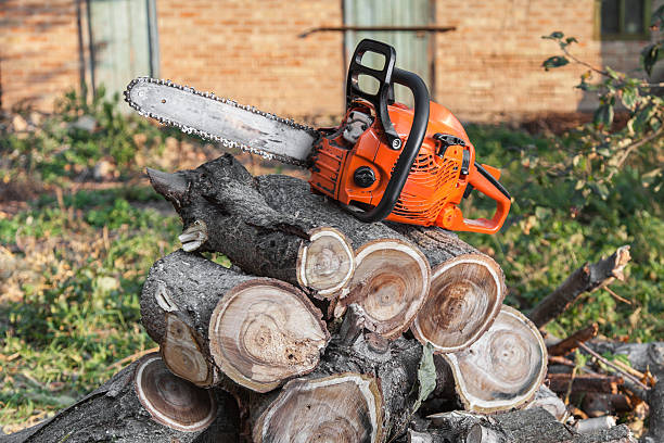 Carrollton, AL Tree Service Company